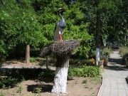 ��������� ��������, ����