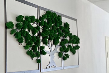 Спа уходы в Крыму