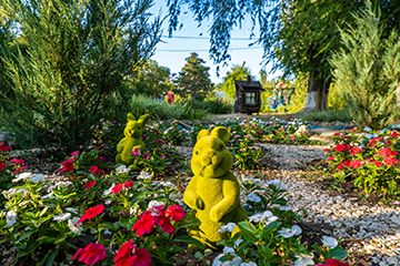 Территория курортного комплекса Азовский Крым