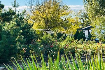 Территория курортного комплекса Азовский Крым